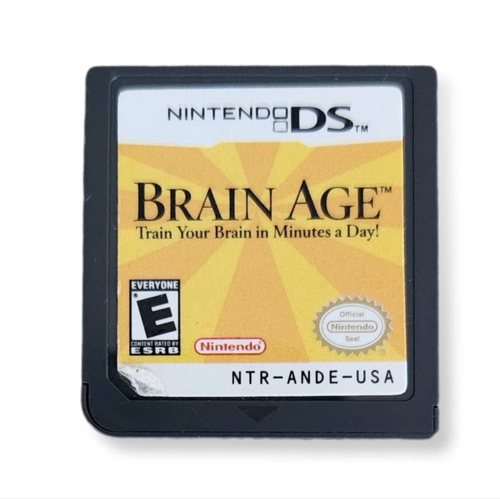 Nintendo DS brain age game